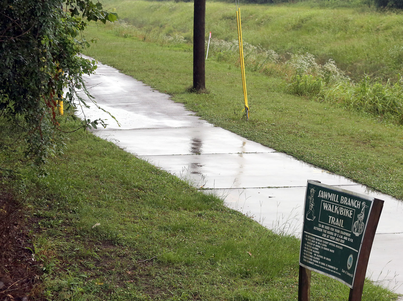 Sawmill Branch Trail (copy)